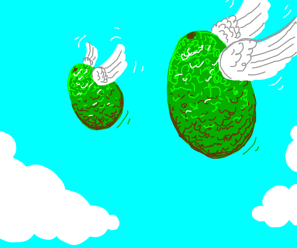Flying avocados Drawception