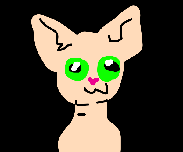 bingus Drawception