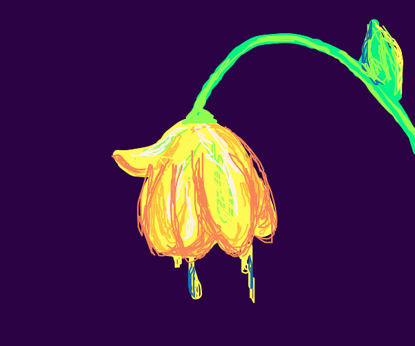 Flower Drawception
