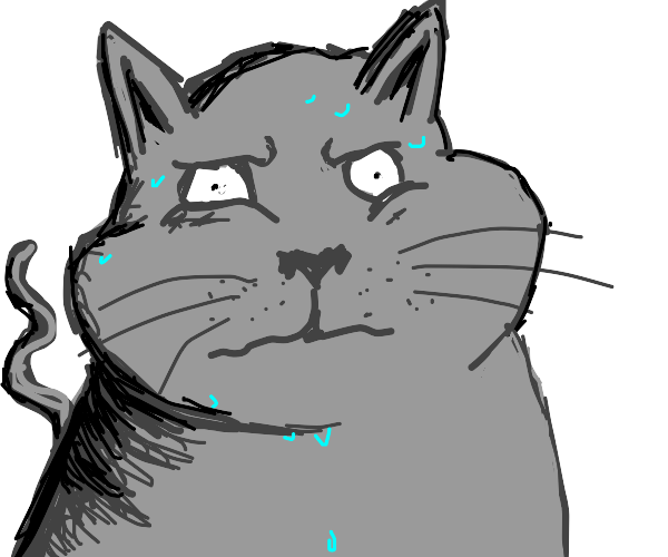 Sweaty Cat Drawception