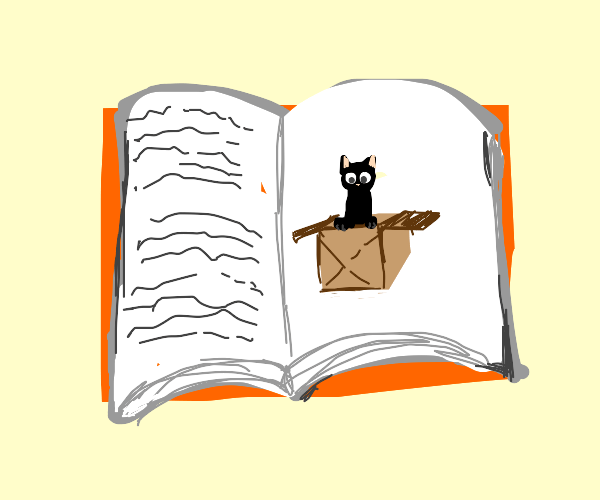 Cat Box Cover Drawception