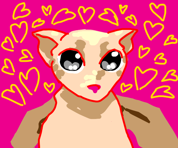 BINGUS !!! Drawception