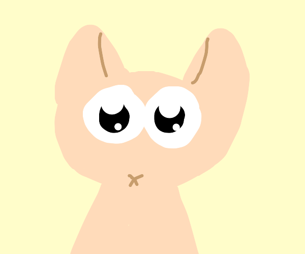 Bingus Drawception