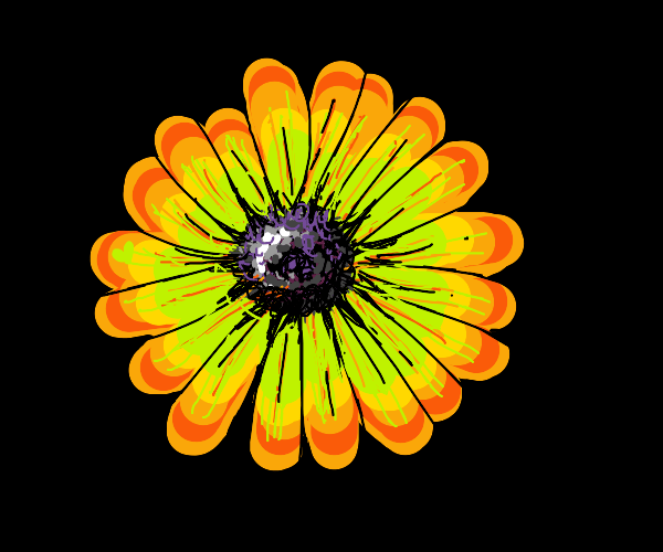 sunflower with black disc flowers Drawception