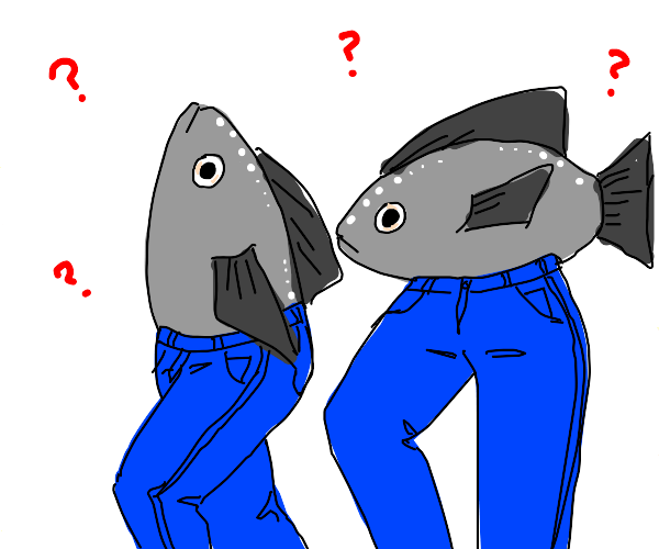 Catfish wearing Pants Drawception