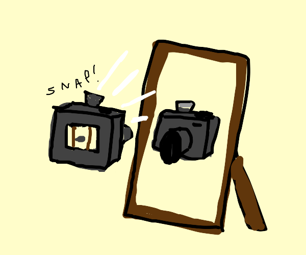 Camera takes mirror selfie Drawception