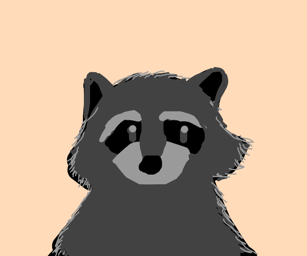 Raccoon Drawception