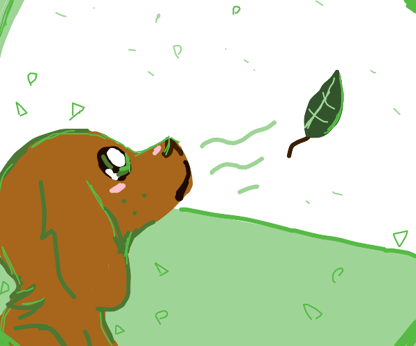 dog jumps at leaf Drawception