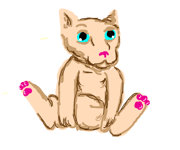 Milo UwU's Drawception Drawings