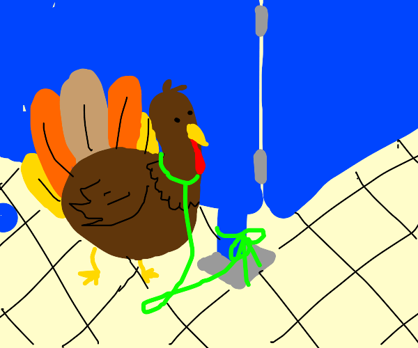 Pet Turkey Drawception