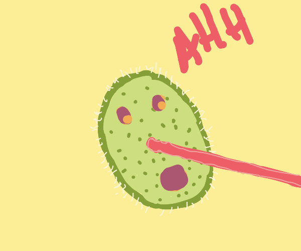 laser kiwi Drawception