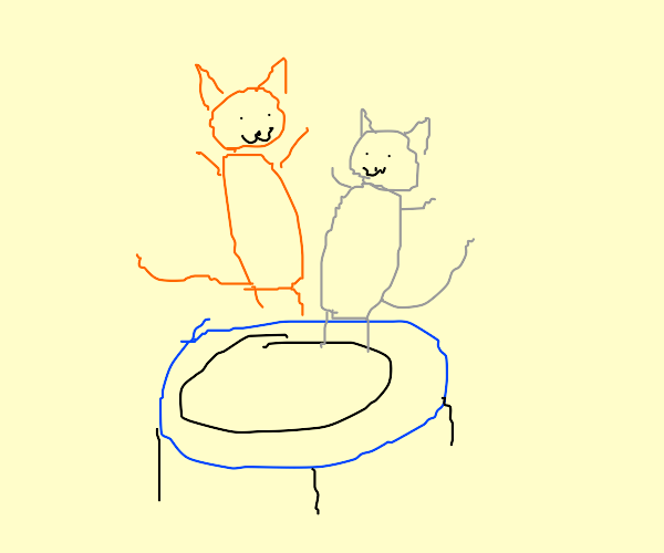 cats on a trampoline Drawception