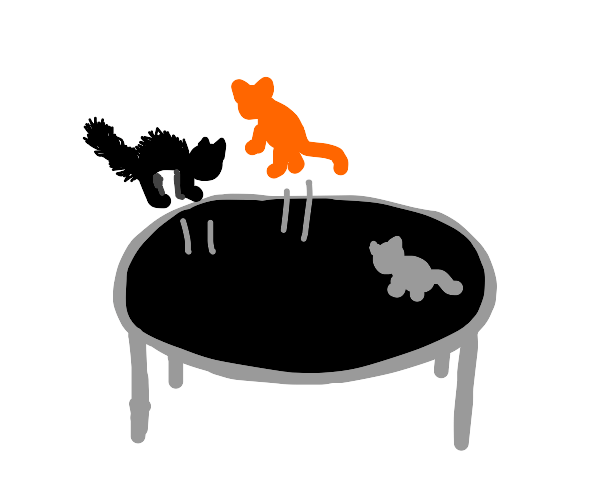 cats on a trampoline Drawception