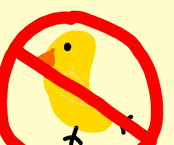 No ducks allowed Drawception