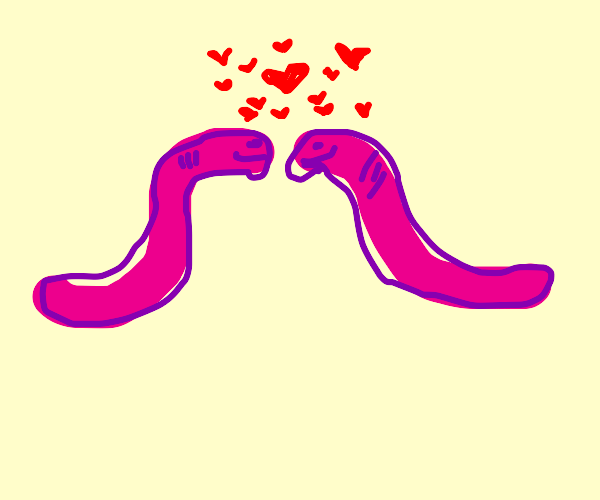 Worms in love Drawception