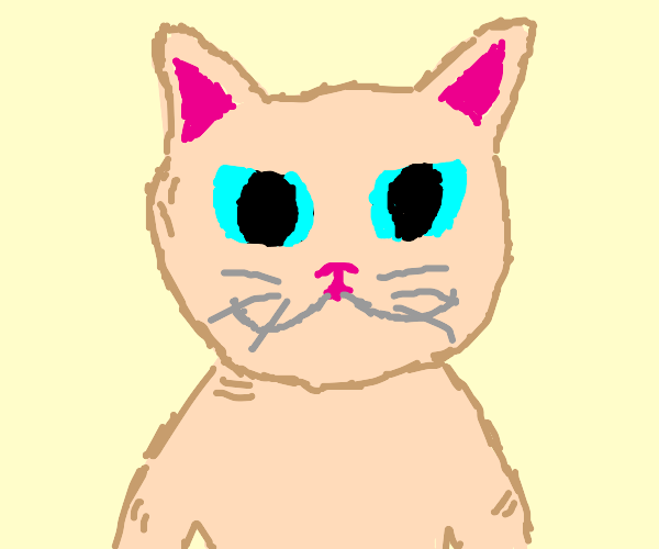 Bingus Drawception