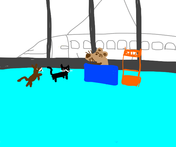 Pet Airport Drawception