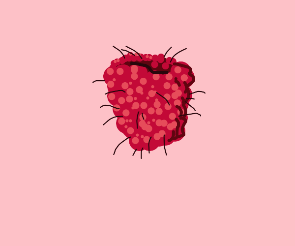Hairy Raspberry Drawception