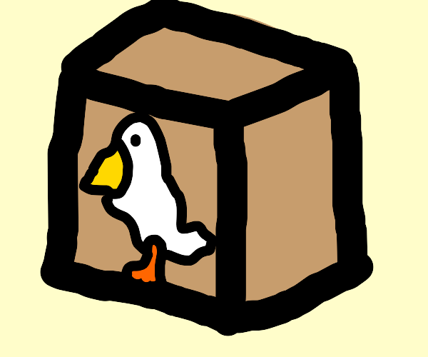 Pelican Box Art Drawception