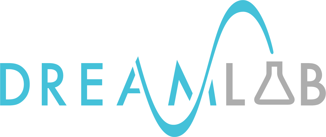 DreamLab Transforming Dreams Into EBusinesses