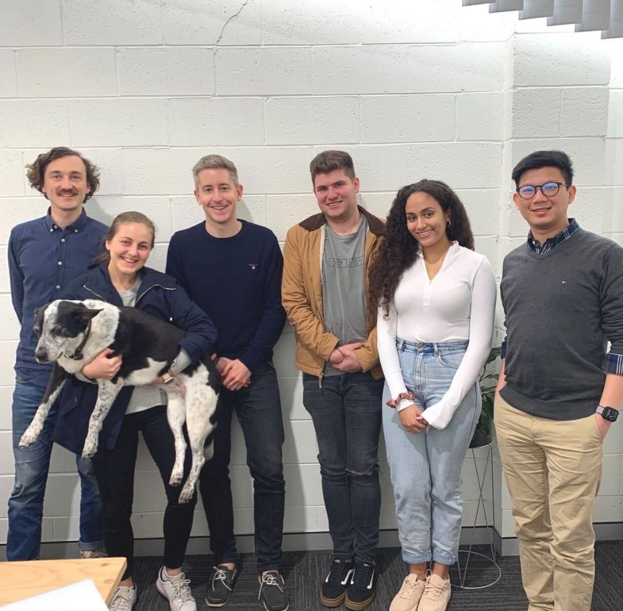 Designer (UX/UI) at Lyka Pet Food Dribbble Design Jobs