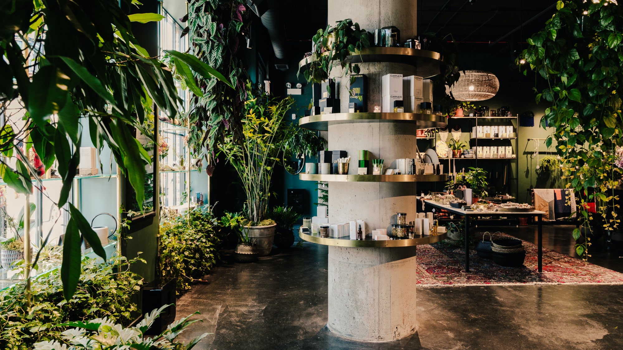 Graphic Designer at Varyer Chicago, IL Dribbble Design