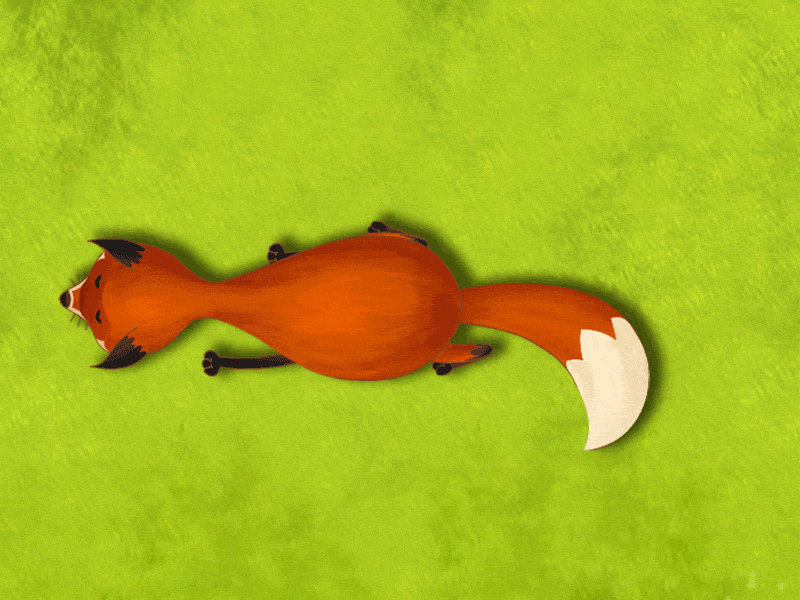 Cartoon fox top view gif by Meg Koszyk on Dribbble