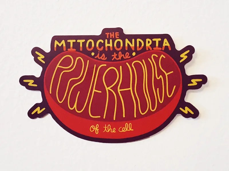 The Mitochondria is the Powerhouse of the Cell by sjham on