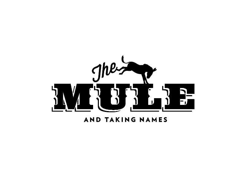 Mule by Barak Tamayo on Dribbble