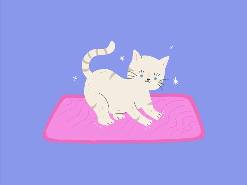 A cat on a rug by Victoria Valdez on Dribbble