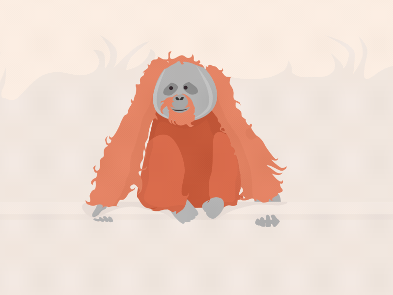 Orangutang by Amy Rowe on Dribbble