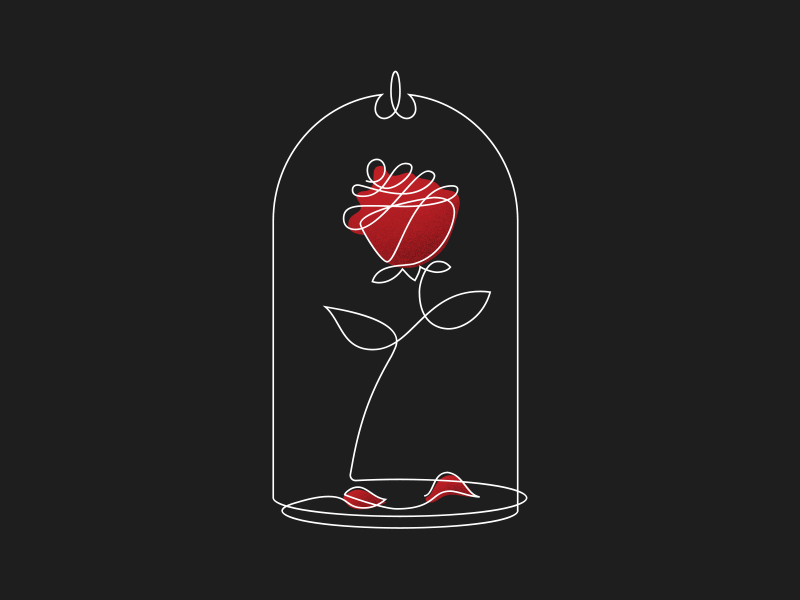 Beauty And The Beast Rose Gif