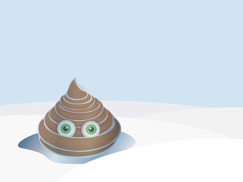 Frozen Poop by Nina Garman on Dribbble