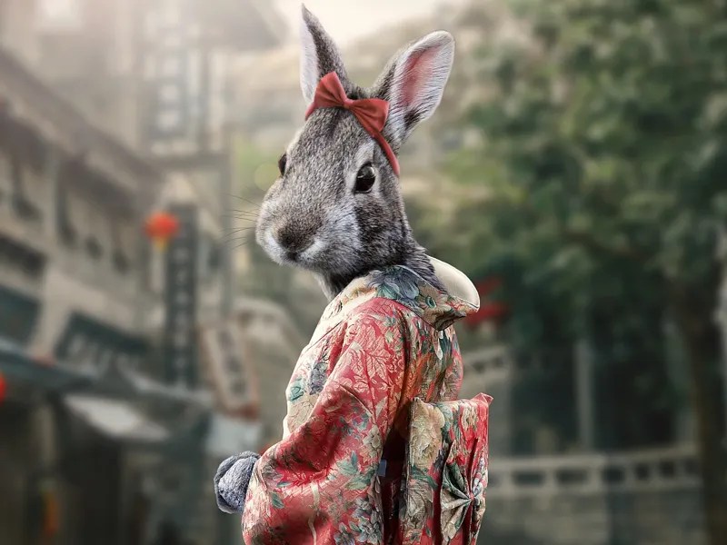 Japanese Rabbit Girl by Novrianto Windu on Dribbble