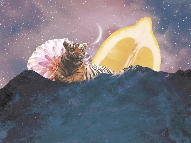 Digital Collage Art By Flor Quercia On Dribbble