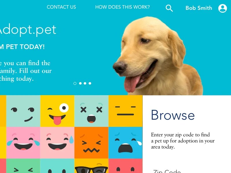 Pet Adoption UX Case Study Visual Landing Page by Adrienne Levin on