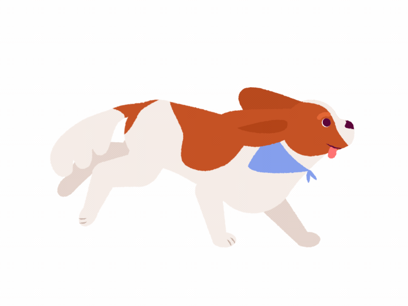 Dog run cycle by Katerina Tereshkova on Dribbble