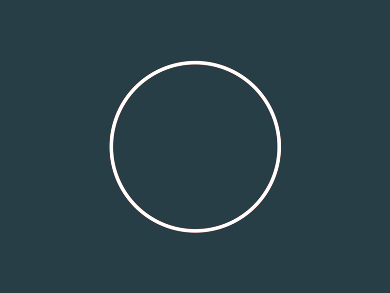 Spinning around by Krzysztof Glistak on Dribbble