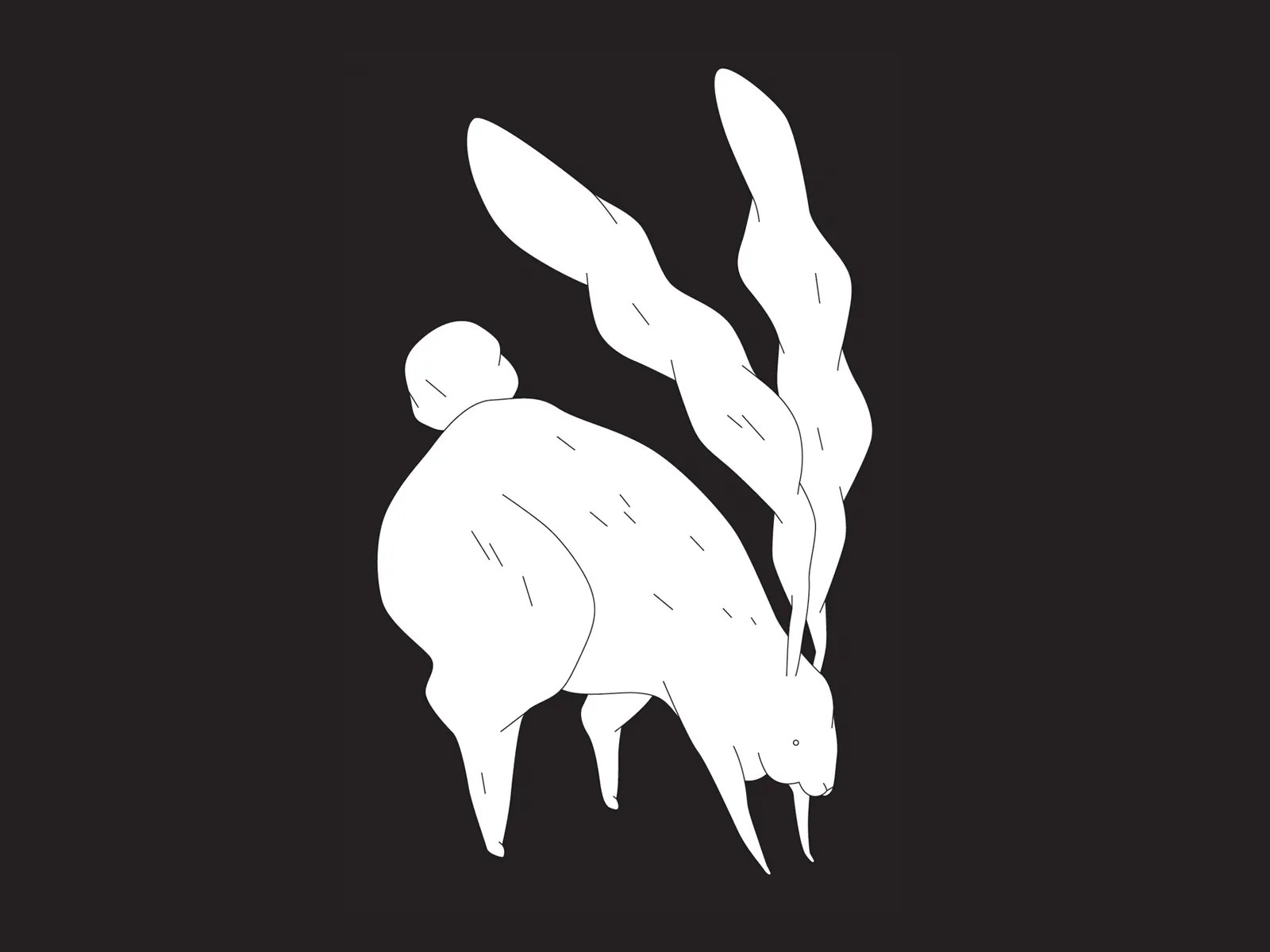 75+ Follow The White Rabbit Wallpaper さのばりも