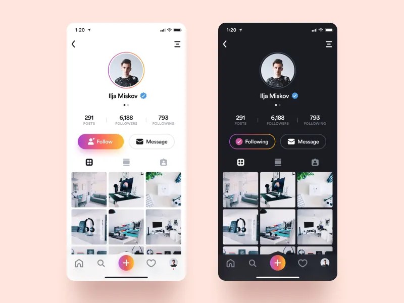 Instagram Profile by Ilya Miskov for Peppers on Dribbble