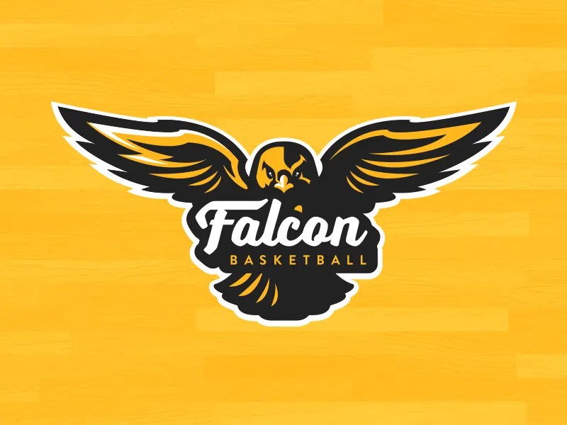 Falcon Basketball by Matt Kauzlarich for Studio 1344 on Dribbble