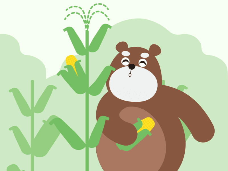 Bear&Corn by peipeiiii on Dribbble