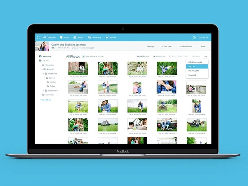 Edit Gallery UI by Dustin Tanner for ShootProof on Dribbble