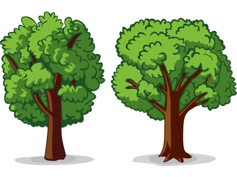 2 Trees by cliff on Dribbble