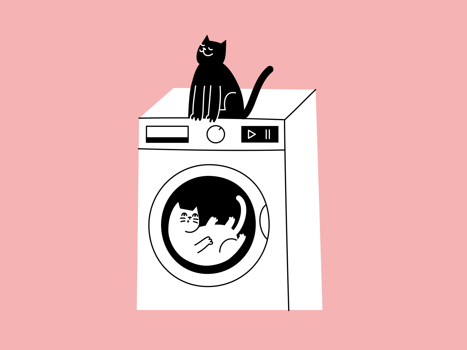 Cats and Laundry by Dasha on Dribbble