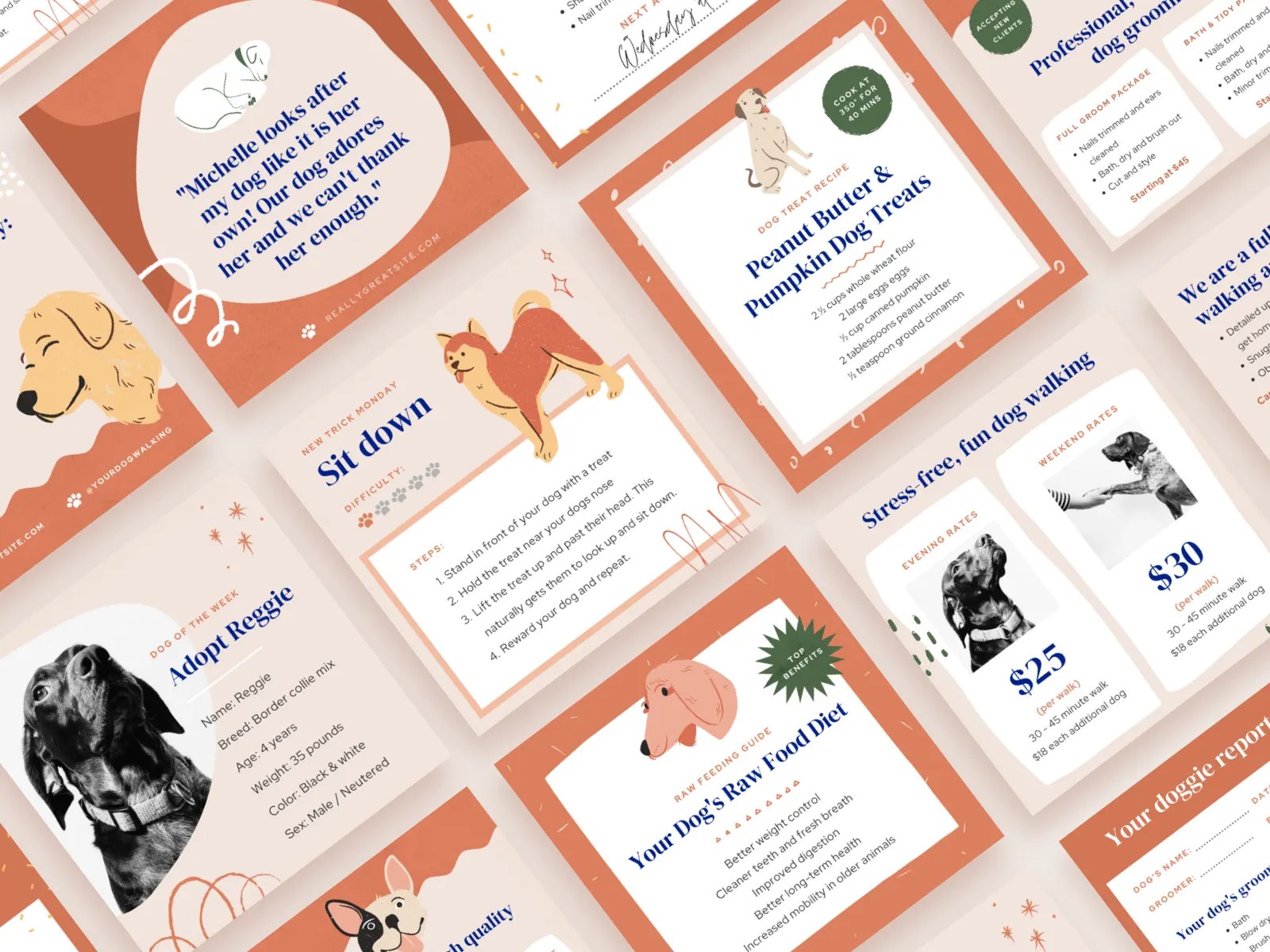Pet Instagram Posts Template Collection by Janna Hagan ⚡️ on Dribbble