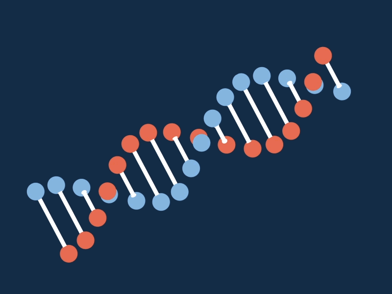 DNA (.aep source attached) by Holypix on Dribbble