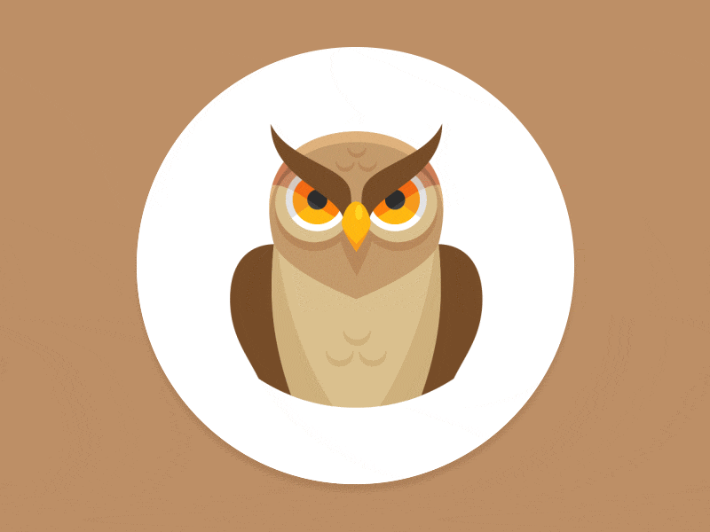 Baby Barn Owl Gif. Baby Barn Owl Gif Hasshe EroFound