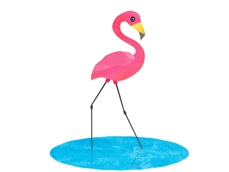 Flamingo by Simone Tufvesson on Dribbble