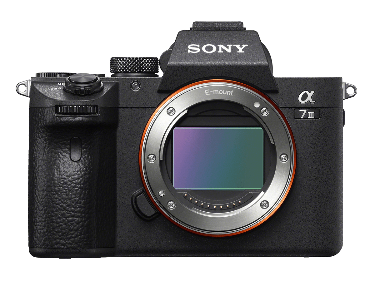 Sony A7 III Sensor review Lowlight performer DXOMARK